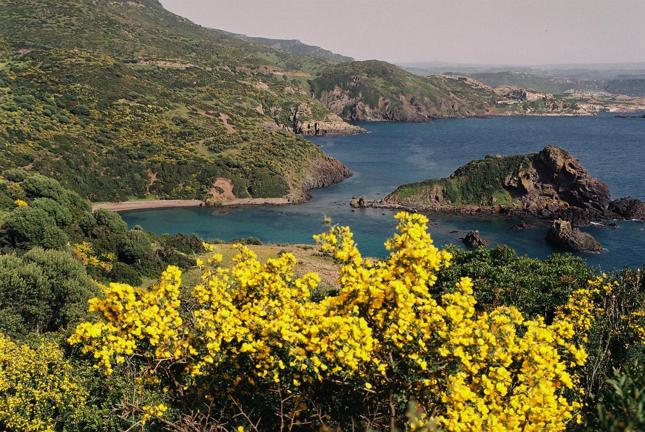 Casa vacanze Sandalia Bosa